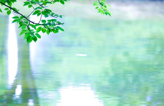 外壁塗装でお悩みの方！おすすめの種類や単価を紹介します♪