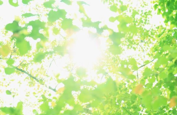 あま市でおすすめの外壁塗装　